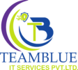 TeamBlue IT Services