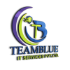 teamblue it logo